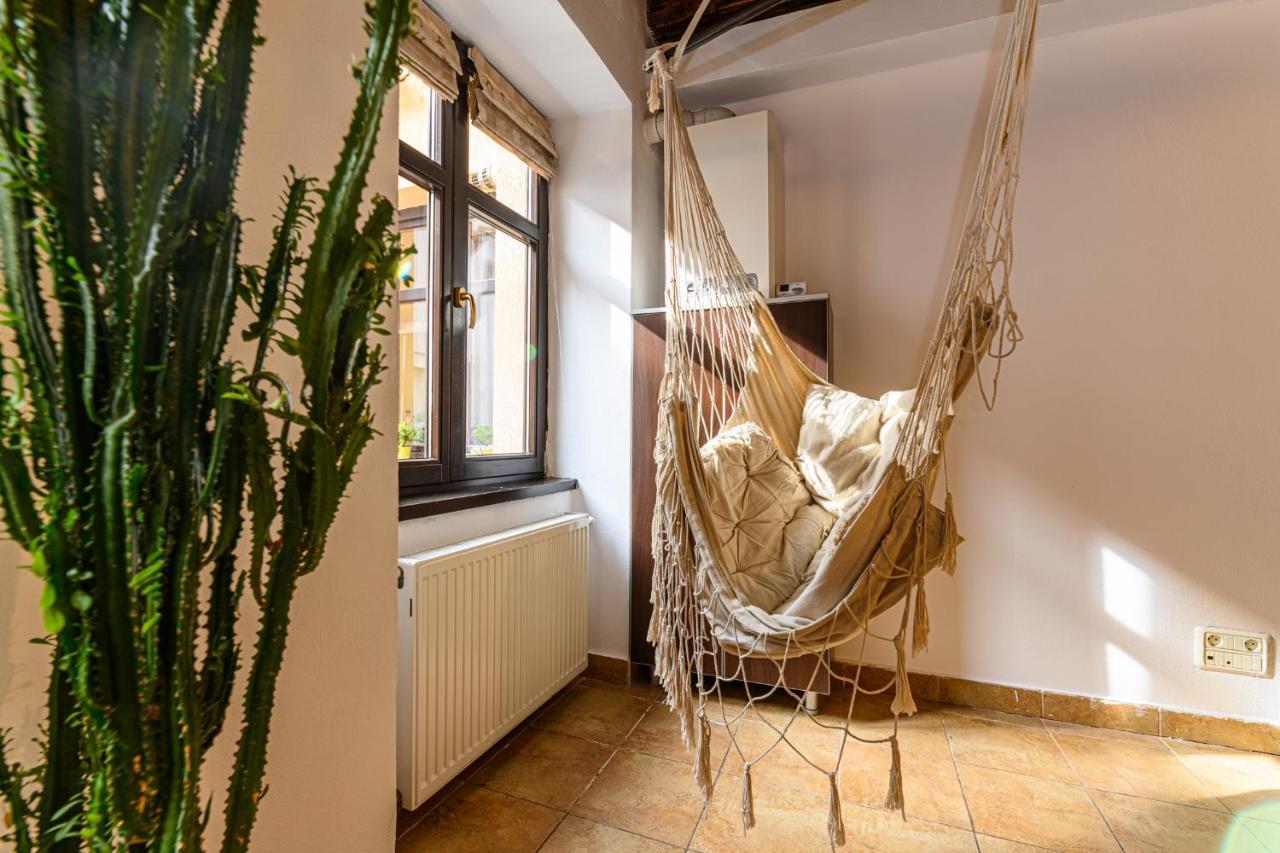 Dream Guesthouse 브라쇼브 외부 사진