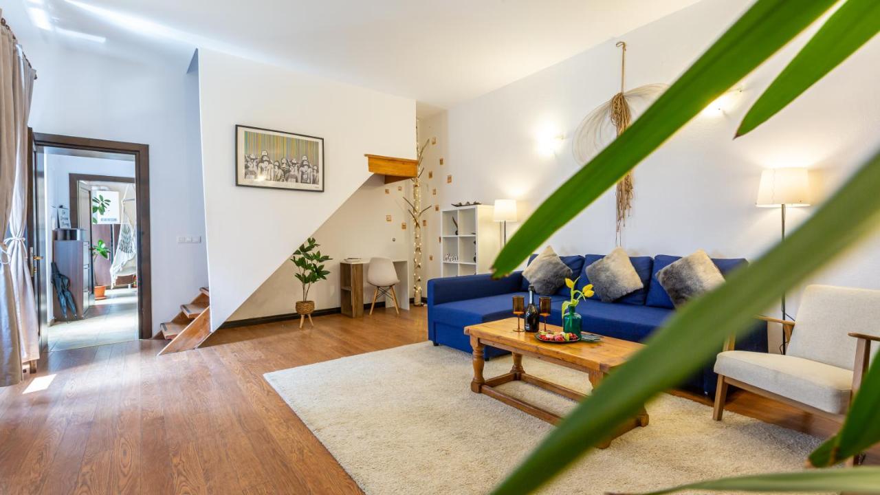 Dream Guesthouse 브라쇼브 외부 사진