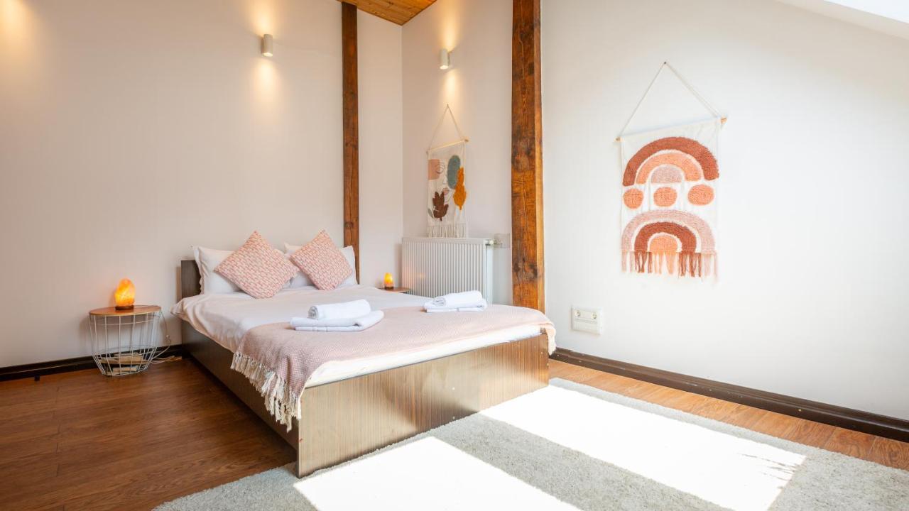 Dream Guesthouse 브라쇼브 외부 사진