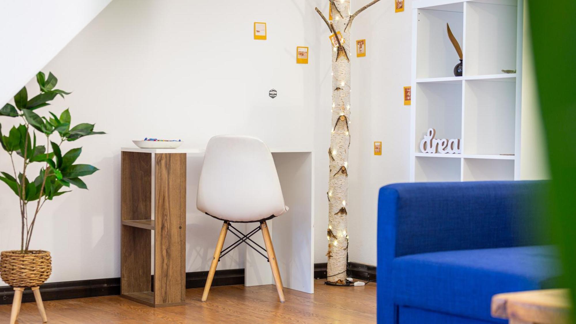 Dream Guesthouse 브라쇼브 외부 사진