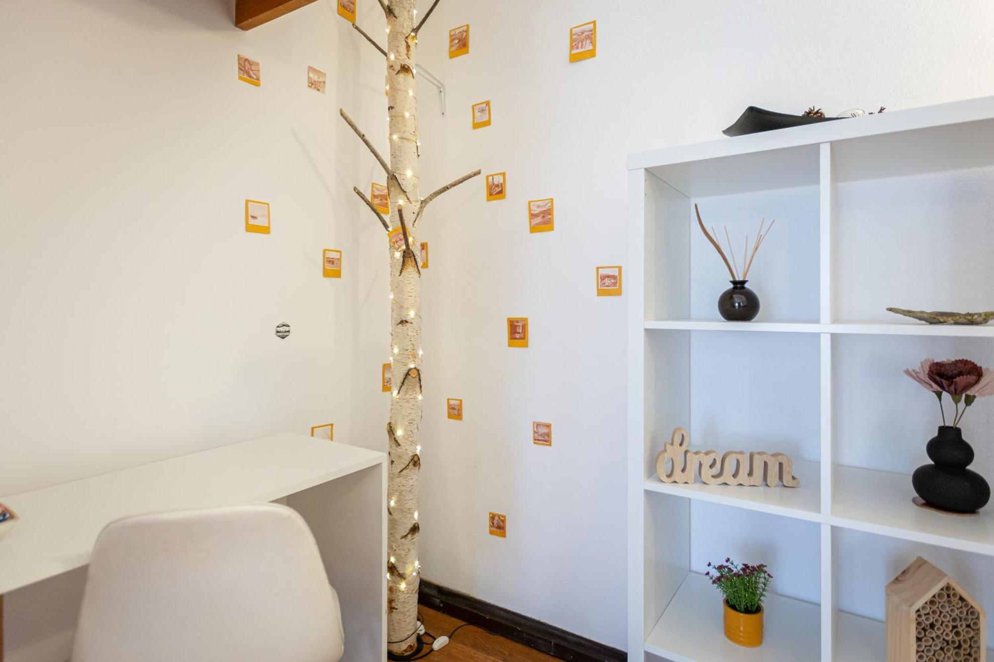 Dream Guesthouse 브라쇼브 외부 사진