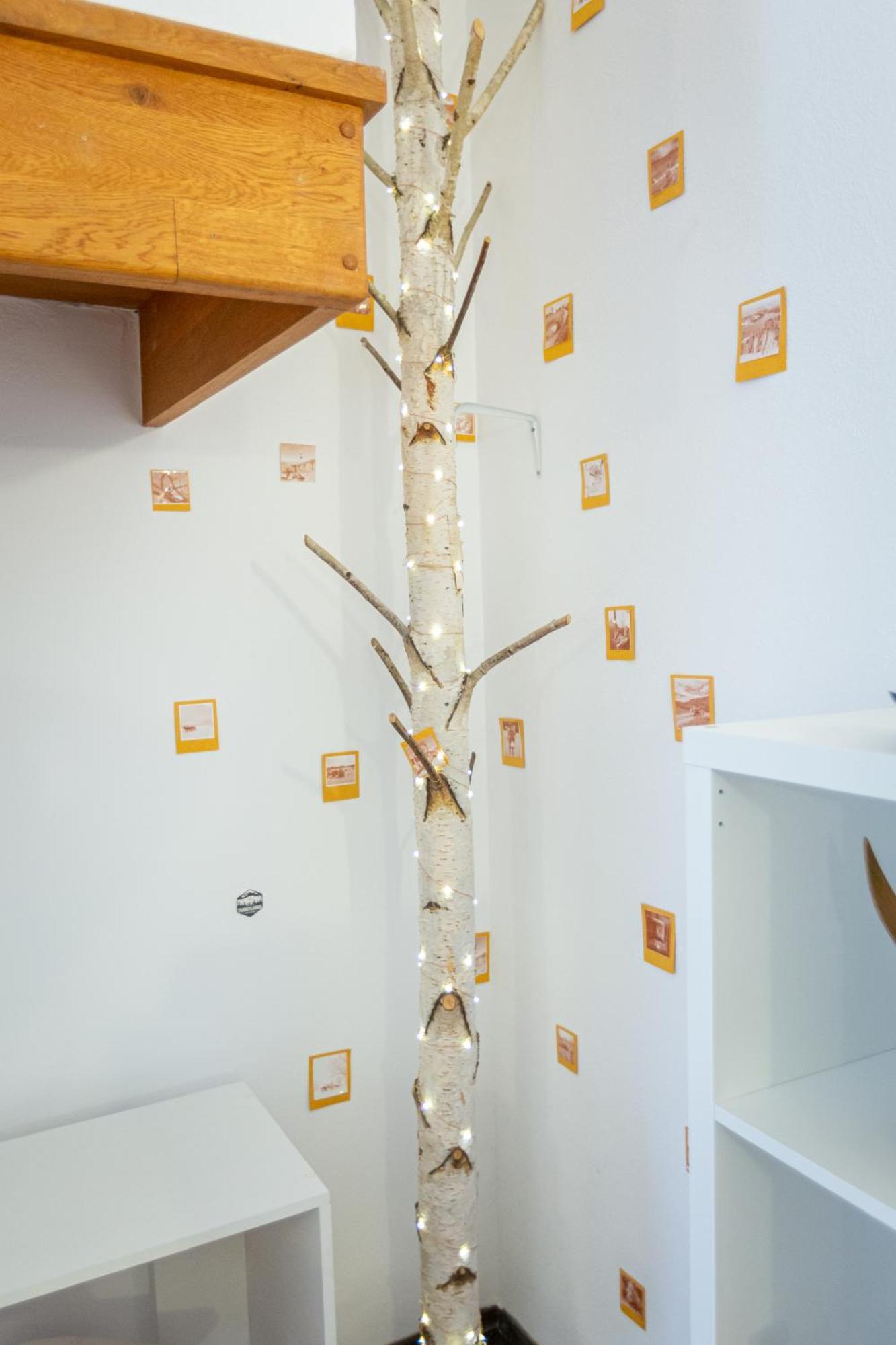Dream Guesthouse 브라쇼브 외부 사진