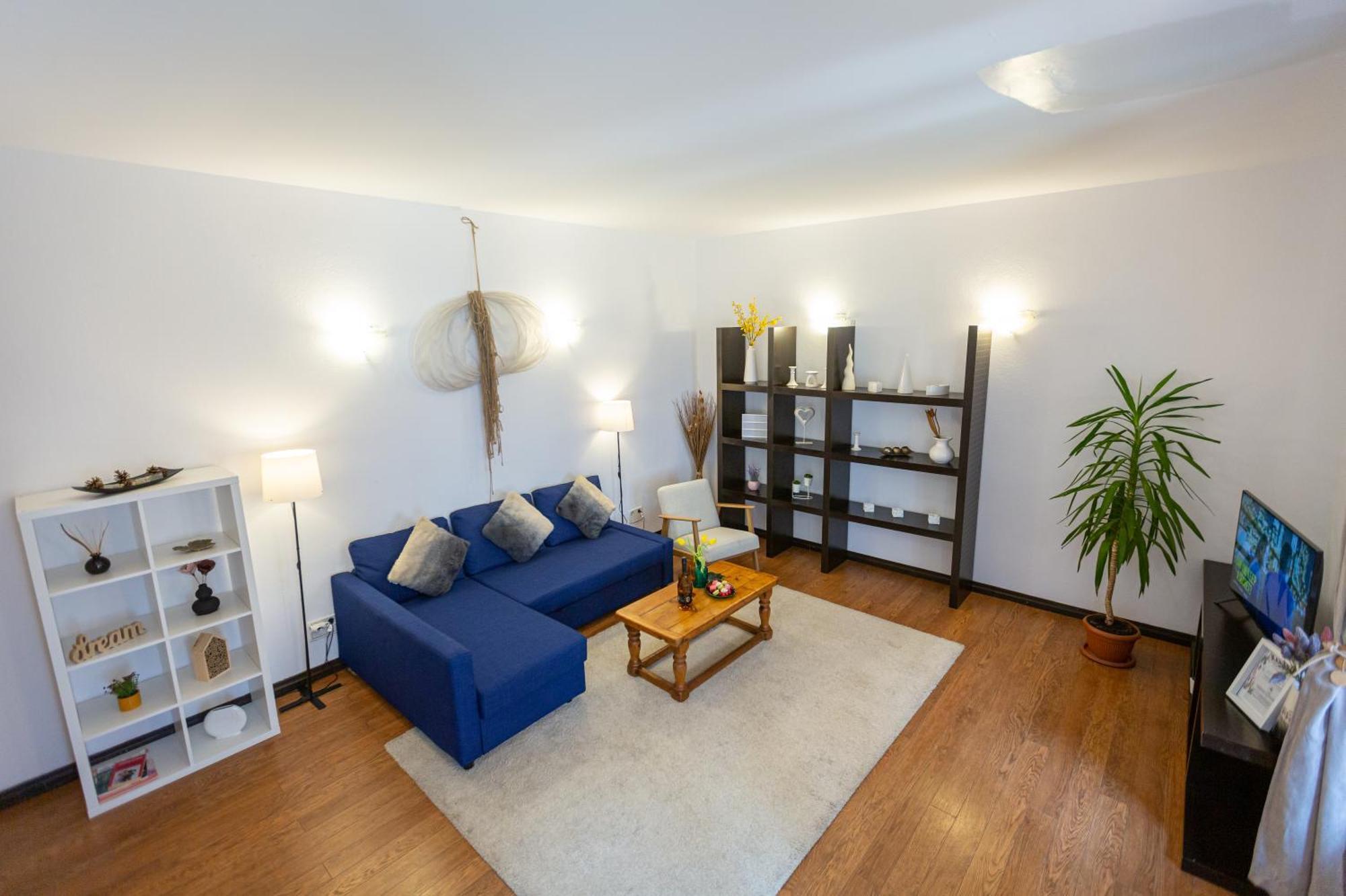 Dream Guesthouse 브라쇼브 외부 사진