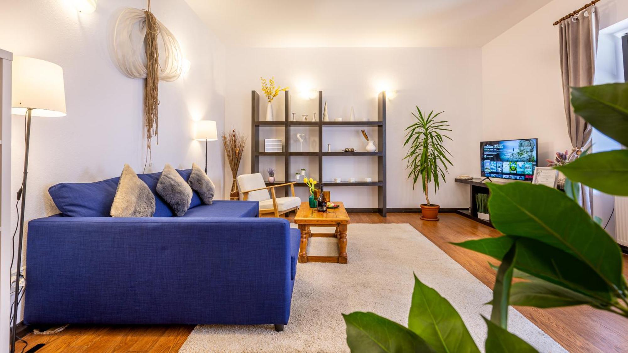 Dream Guesthouse 브라쇼브 외부 사진