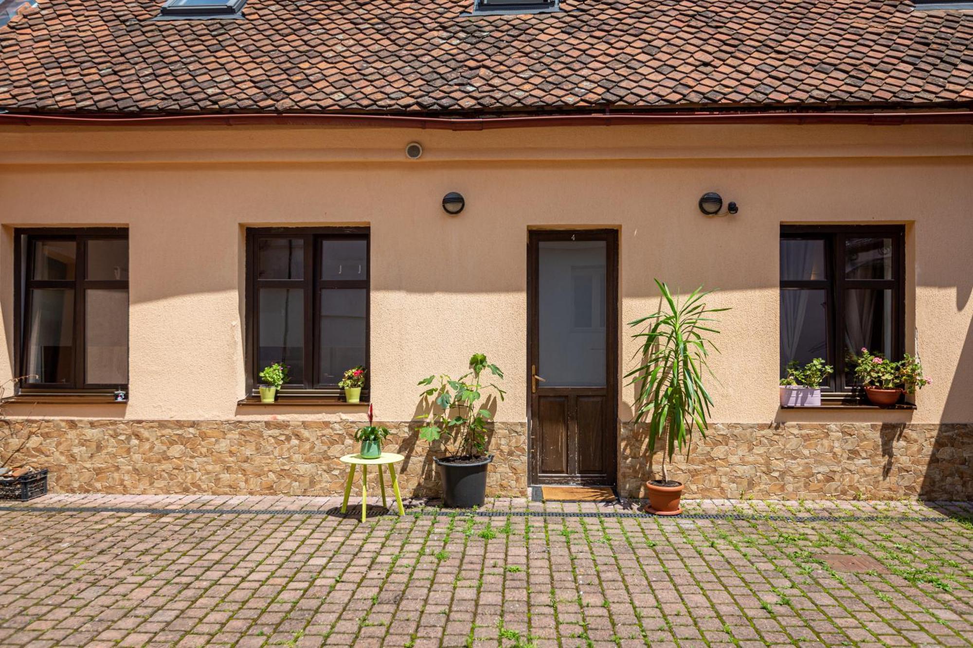 Dream Guesthouse 브라쇼브 외부 사진